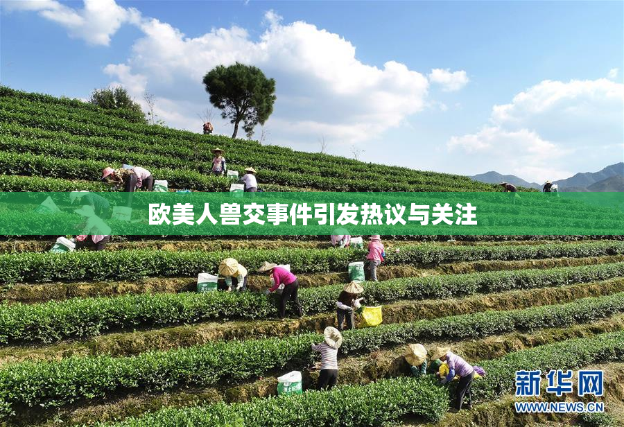 欧美人兽交事件引发热议与关注