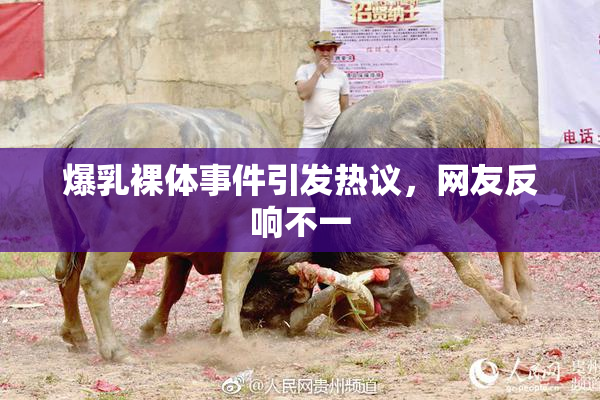 爆乳裸体事件引发热议，网友反响不一