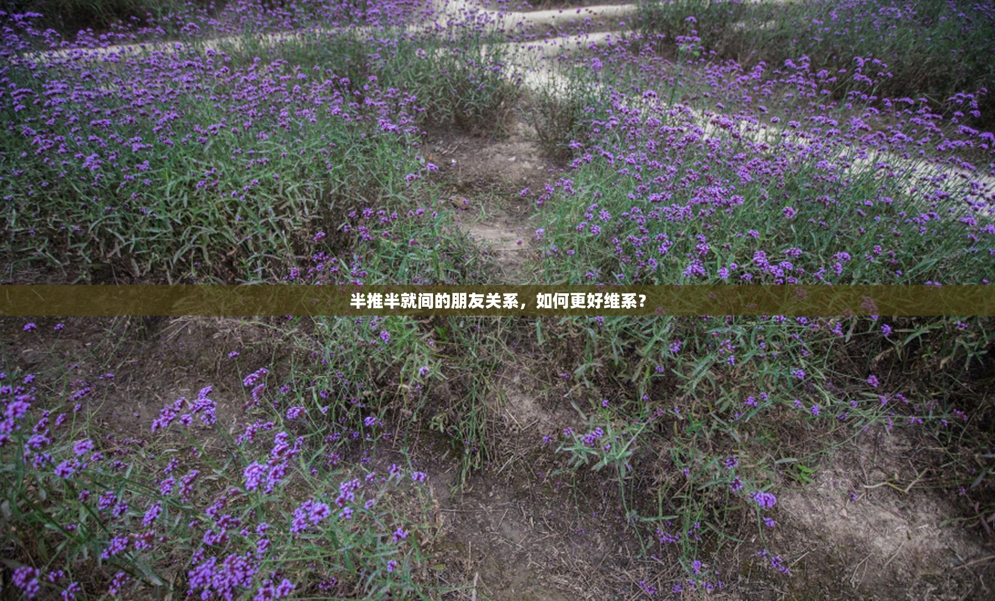 半推半就间的朋友关系，如何更好维系？