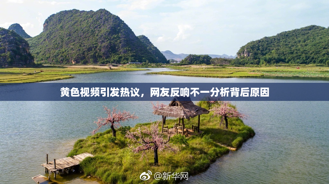 黄色视频引发热议，网友反响不一分析背后原因