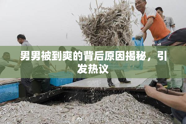 男男被到爽的背后原因揭秘，引发热议