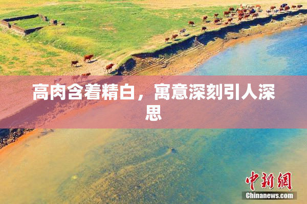 高肉含着精白，寓意深刻引人深思