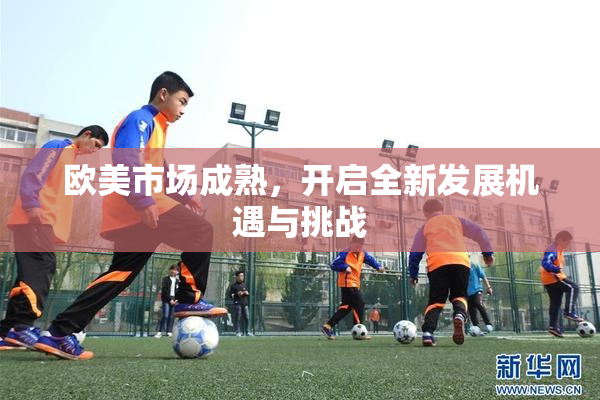 欧美市场成熟，开启全新发展机遇与挑战