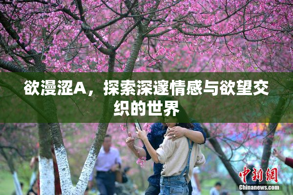 欲漫涩A，探索深邃情感与欲望交织的世界