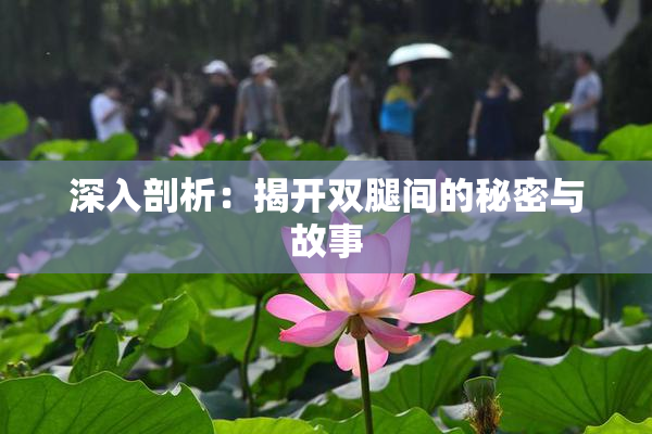 深入剖析：揭开双腿间的秘密与故事