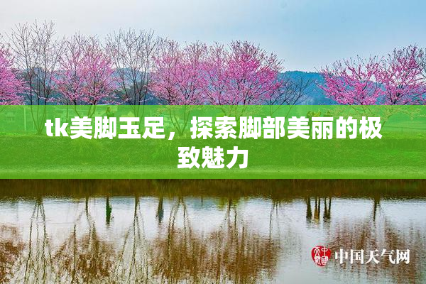 tk美脚玉足，探索脚部美丽的极致魅力