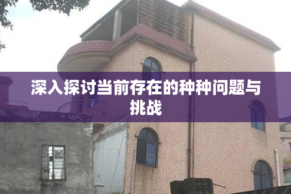 深入探讨当前存在的种种问题与挑战