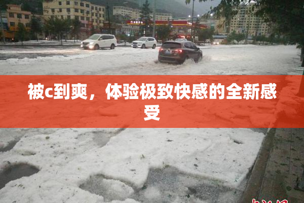 被c到爽，体验极致快感的全新感受