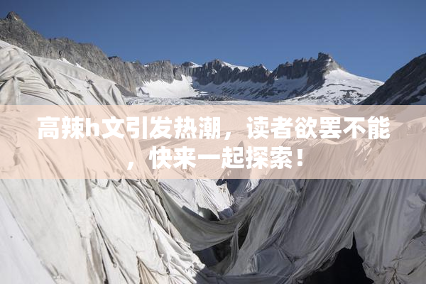 高辣h文引发热潮，读者欲罢不能，快来一起探索！
