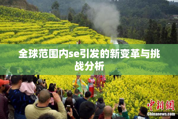 全球范围内se引发的新变革与挑战分析