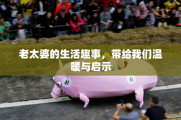 老太婆的生活趣事，带给我们温暖与启示