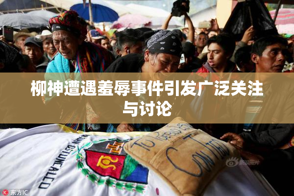 柳神遭遇羞辱事件引发广泛关注与讨论
