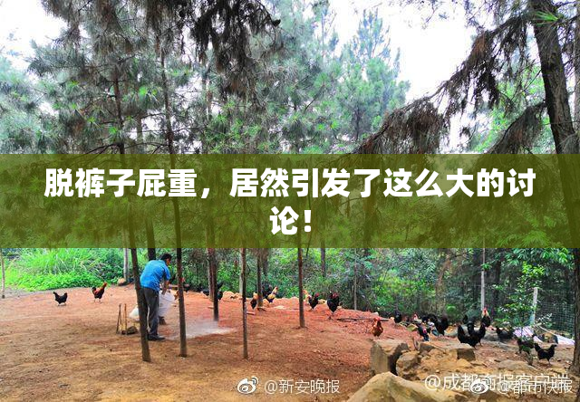 脱裤子屁重，居然引发了这么大的讨论！