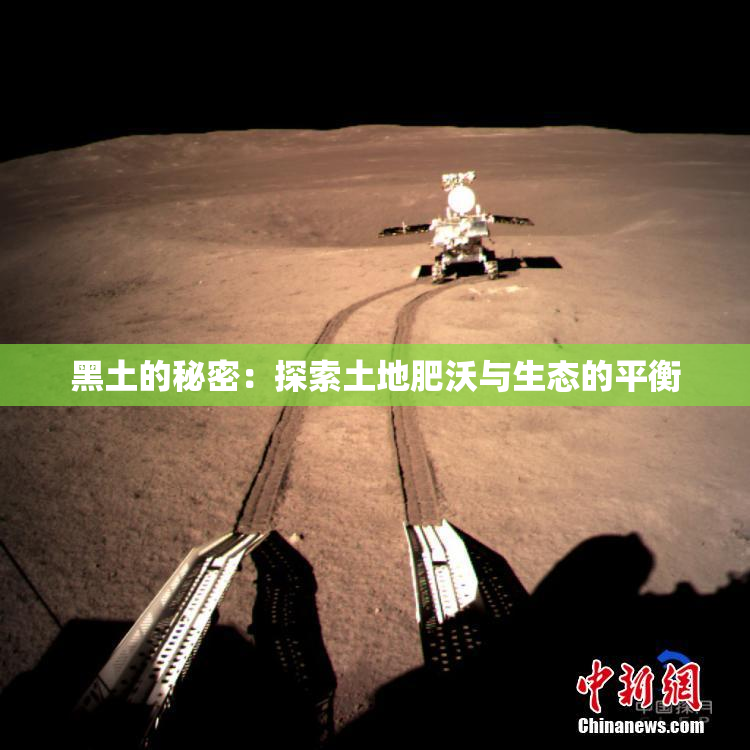 黑土的秘密：探索土地肥沃与生态的平衡