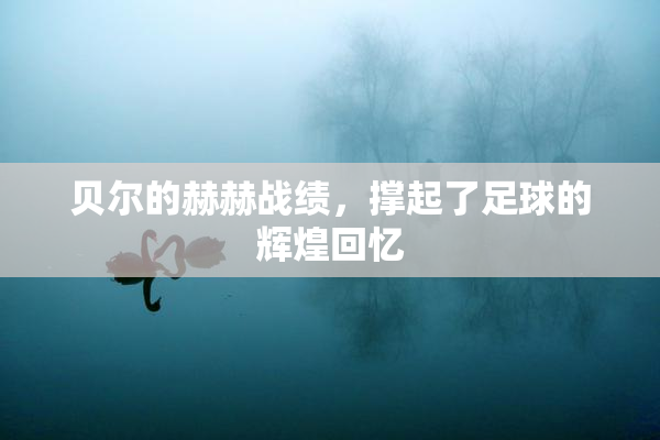 贝尔的赫赫战绩，撑起了足球的辉煌回忆