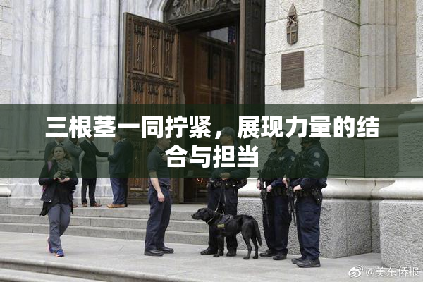 三根茎一同拧紧，展现力量的结合与担当