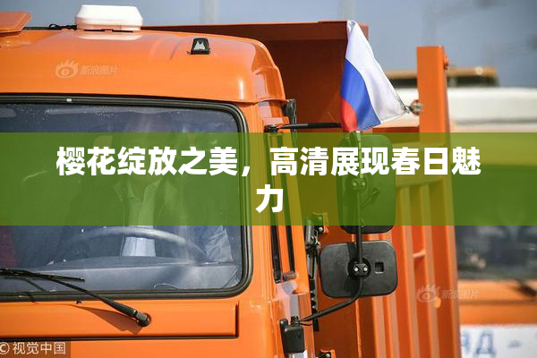 樱花绽放之美，高清展现春日魅力