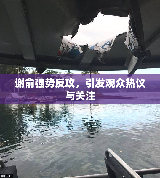 谢俞强势反攻，引发观众热议与关注