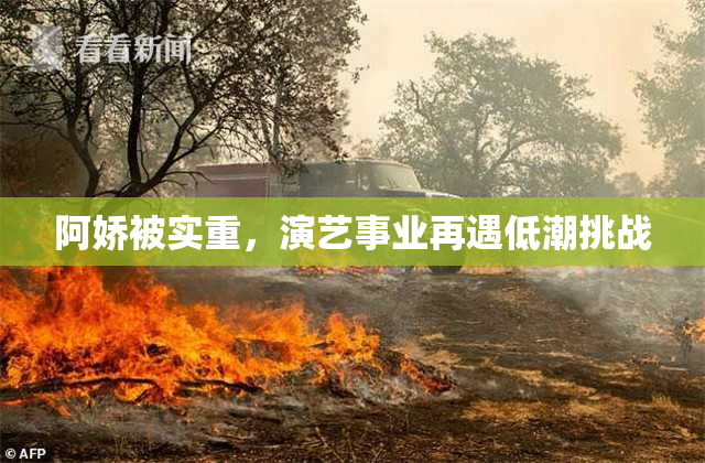 阿娇被实重，演艺事业再遇低潮挑战
