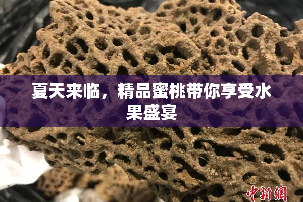 夏天来临，精品蜜桃带你享受水果盛宴