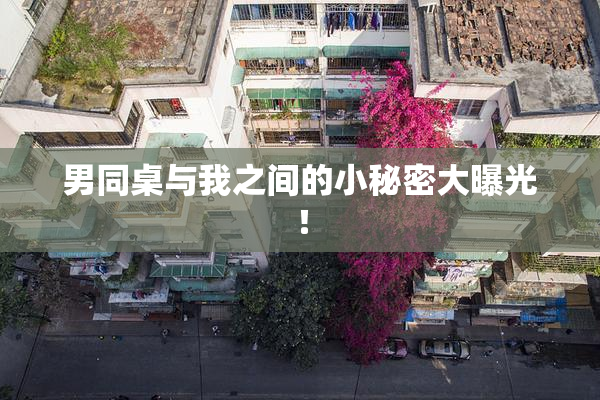 男同桌与我之间的小秘密大曝光！