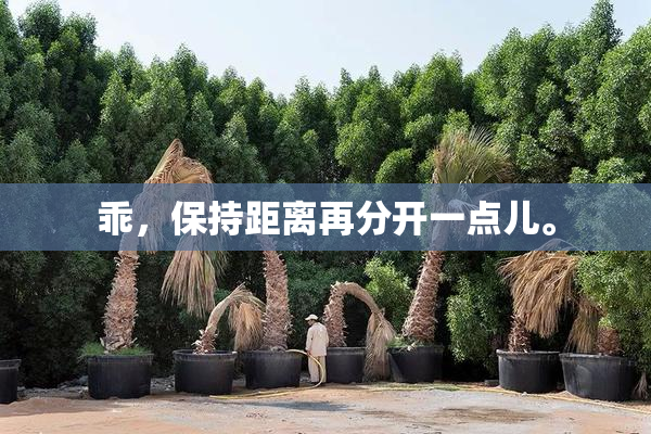乖，保持距离再分开一点儿。