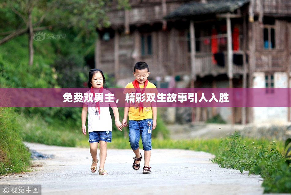 免费双男主，精彩双生故事引人入胜