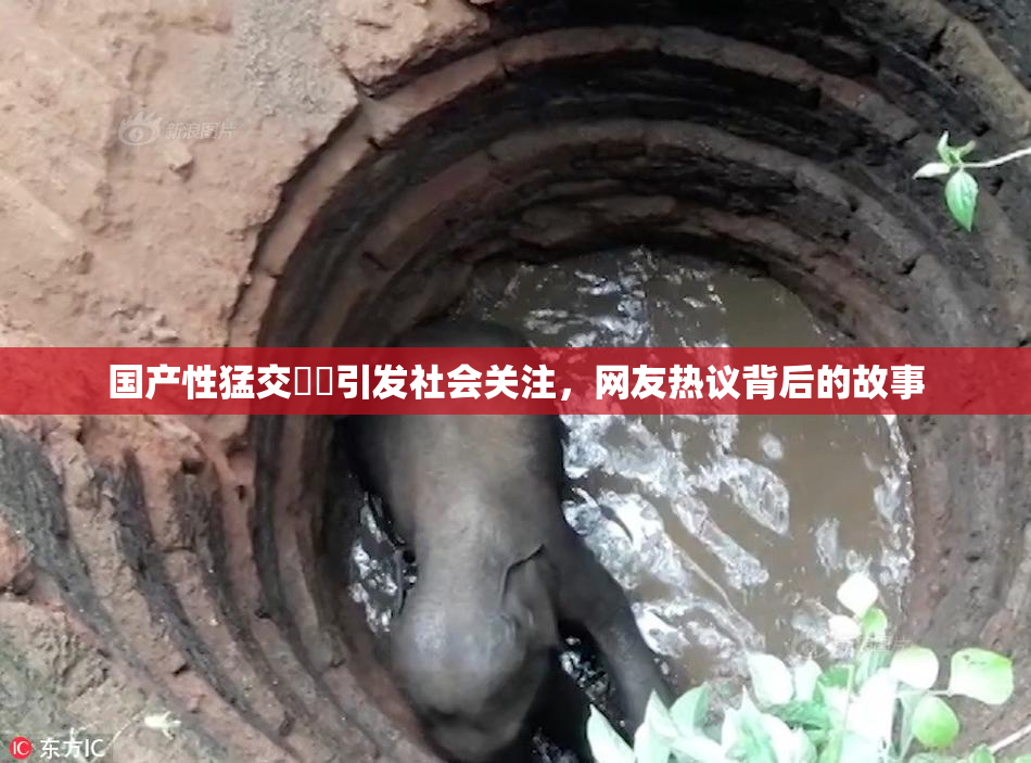 国产性猛交❌‌引发社会关注，网友热议背后的故事