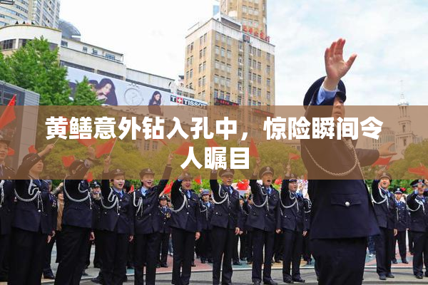 黄鳝意外钻入孔中，惊险瞬间令人瞩目