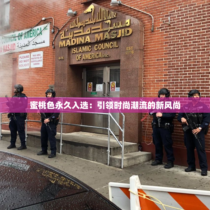 蜜桃色永久入选：引领时尚潮流的新风尚