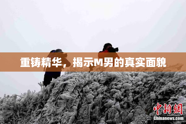 重铸精华，揭示M男的真实面貌