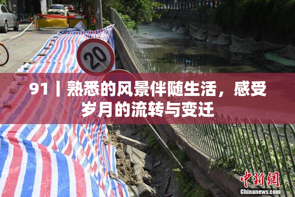 91丨熟悉的风景伴随生活，感受岁月的流转与变迁