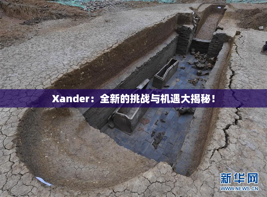 Xander：全新的挑战与机遇大揭秘！