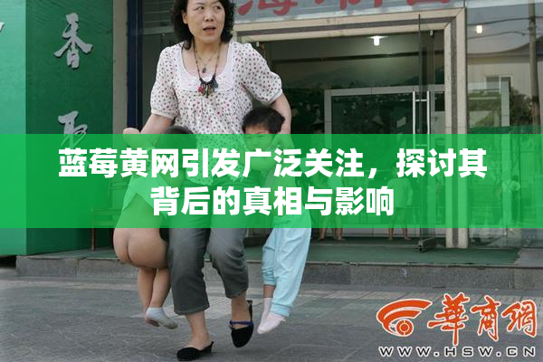 蓝莓黄网引发广泛关注，探讨其背后的真相与影响