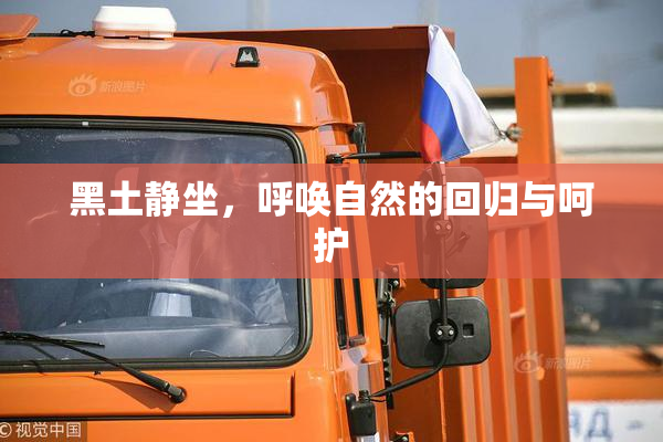 黑土静坐，呼唤自然的回归与呵护
