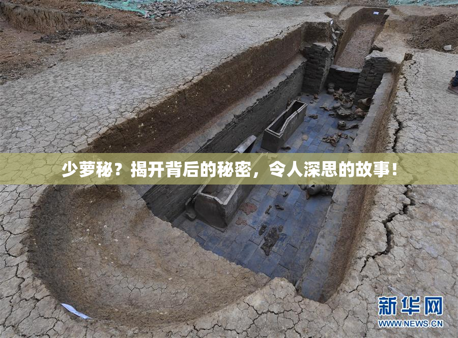 少萝秘？揭开背后的秘密，令人深思的故事！