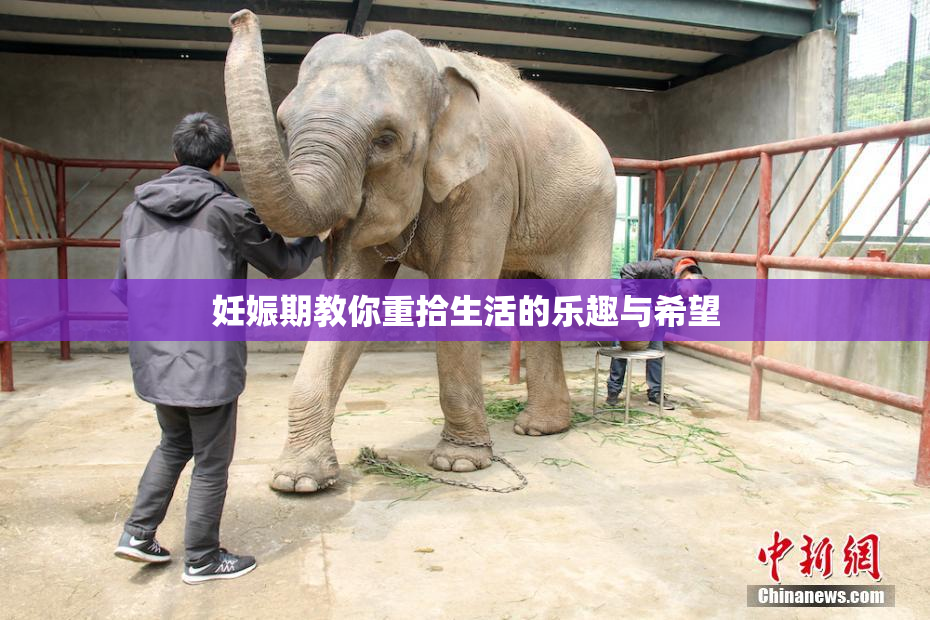 妊娠期教你重拾生活的乐趣与希望