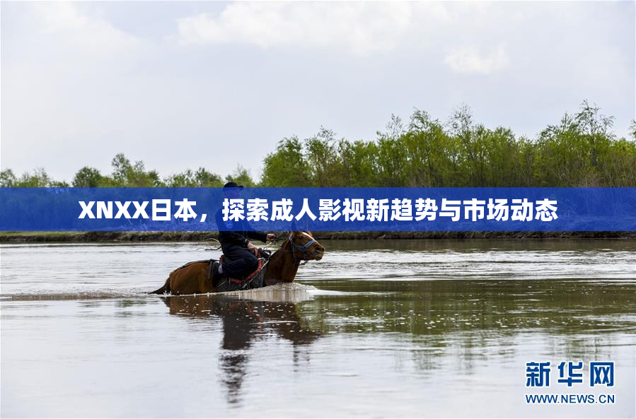 XNXX日本，探索成人影视新趋势与市场动态