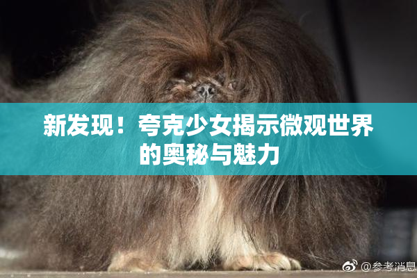 新发现！夸克少女揭示微观世界的奥秘与魅力