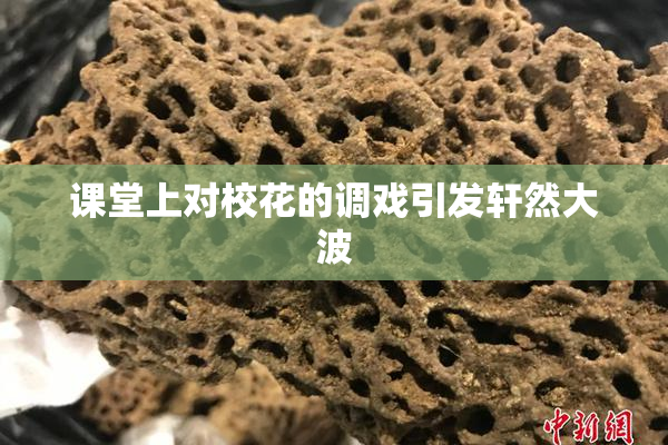 课堂上对校花的调戏引发轩然大波