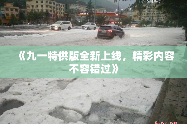 《九一特供版全新上线，精彩内容不容错过》