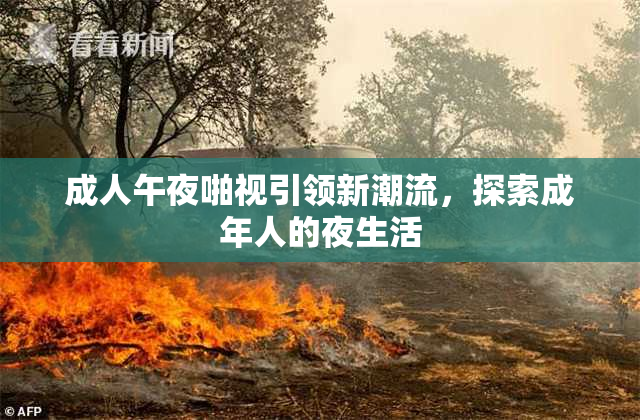 成人午夜啪视引领新潮流，探索成年人的夜生活