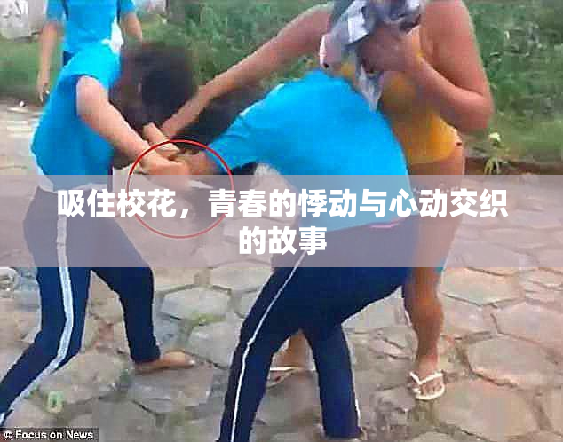 吸住校花，青春的悸动与心动交织的故事