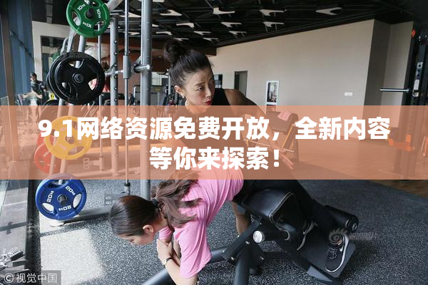 9.1网络资源免费开放，全新内容等你来探索！