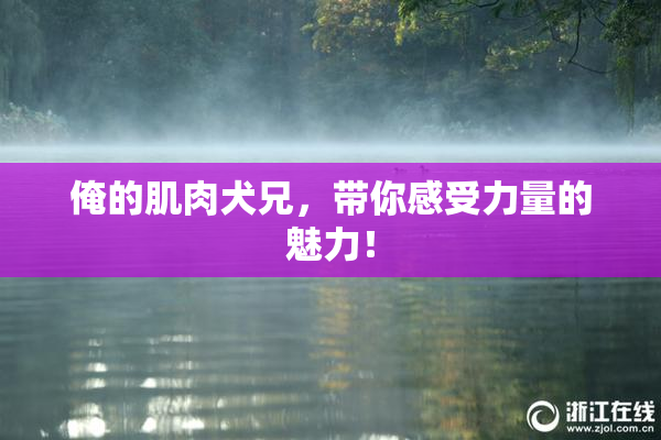 俺的肌肉犬兄，带你感受力量的魅力！