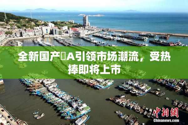 全新国产婬A引领市场潮流，受热捧即将上市