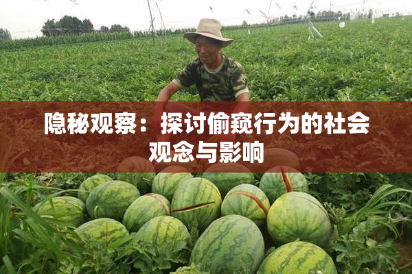 隐秘观察：探讨偷窥行为的社会观念与影响