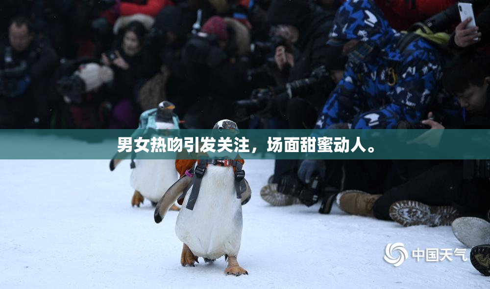 男女热吻引发关注，场面甜蜜动人。
