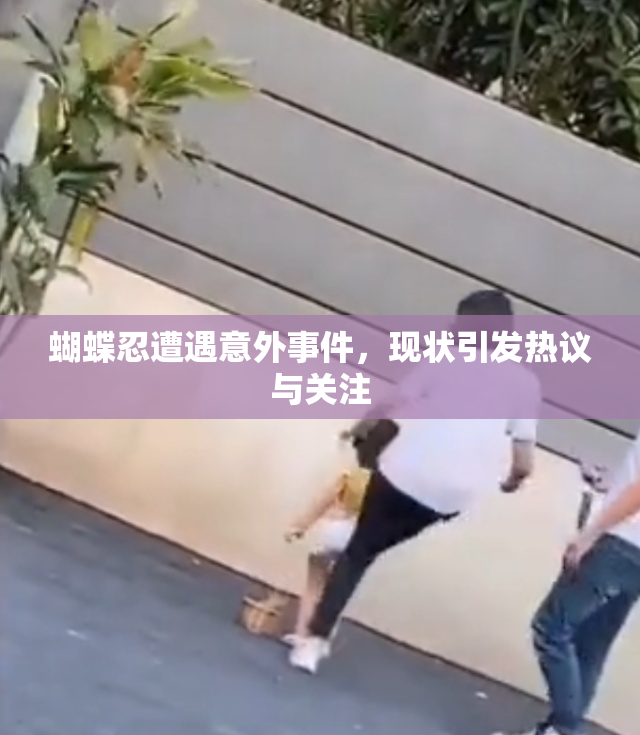蝴蝶忍遭遇意外事件，现状引发热议与关注