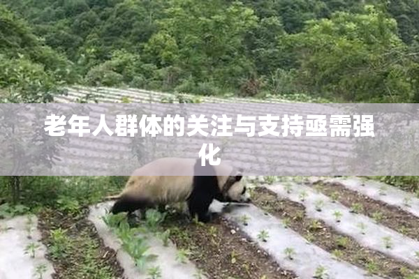 老年人群体的关注与支持亟需强化